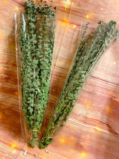 Eucalyptus Shower Bundle